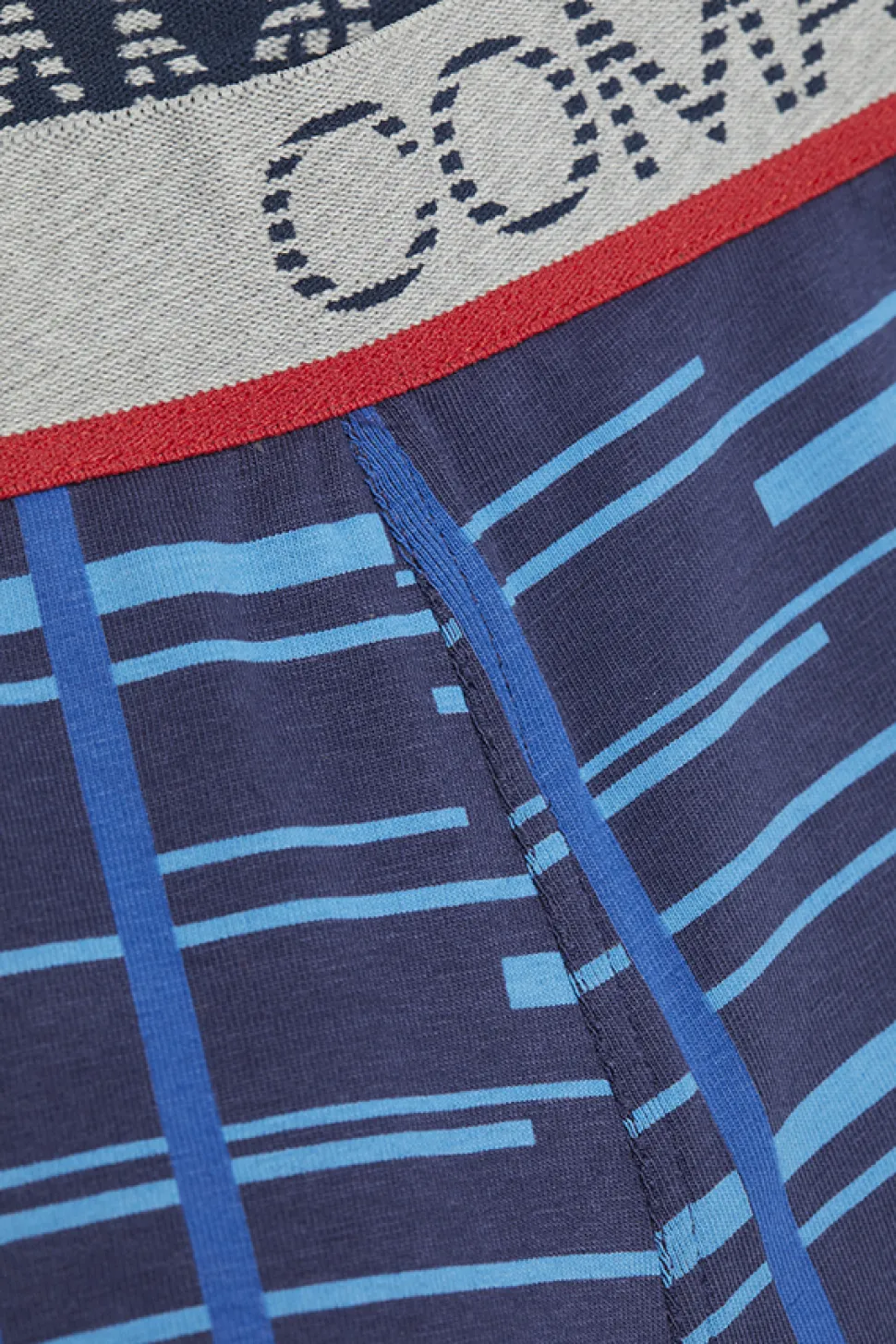Jungen Trunks